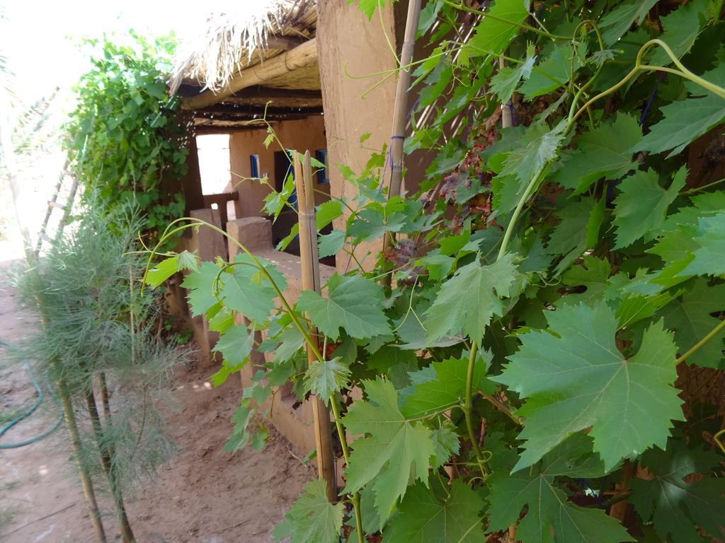 Auberge Tigida M'Hamid Exterior foto